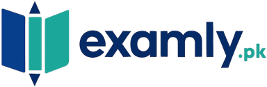 Examly Logo